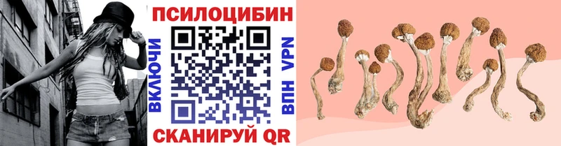 Галлюциногенные грибы GOLDEN TEACHER  mega зеркало  Яхрома 
